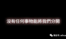 韩国漫画出轨教授,一场道德与情感的较量