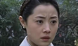 电视剧主角,主角的传奇人生
