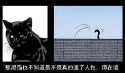 黑猫系列漫画,神秘冒险与智慧对决的奇幻旅程